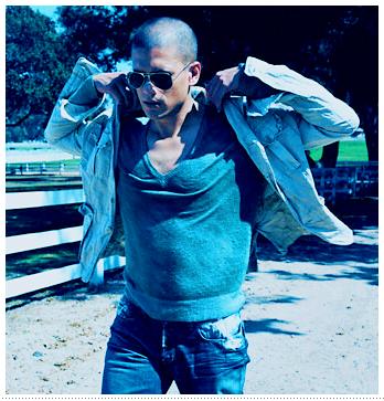 wentworth miller